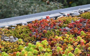 the cost of Cullipool green roof installation